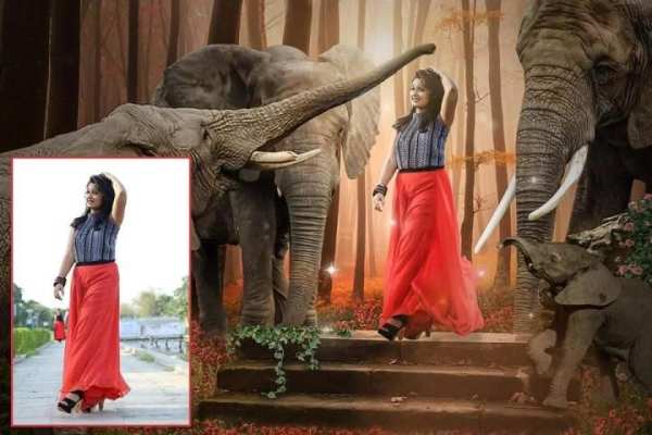 Wild Animal Photo Editor - Animal Photo Frames screenshot 2