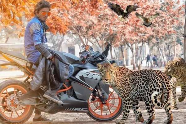 Wild Animal Photo Editor - Animal Photo Frames स्क्रीनशॉट 1