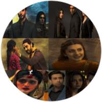 Bast For Pakistani Tv Channels