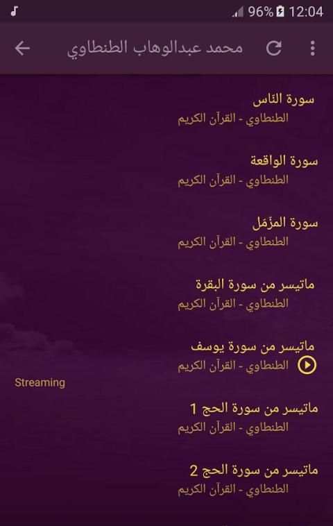 الشيخ محمد عبدالوهاب الطنطاوي - قران الكريم screenshot 2