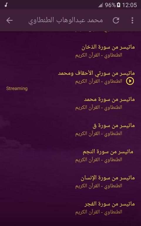 الشيخ محمد عبدالوهاب الطنطاوي - قران الكريم screenshot 1