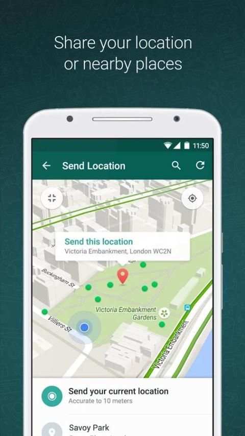 WHATSAPP скриншот 3