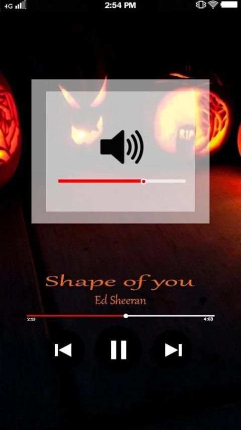 Mp3 Player screenshot 7
