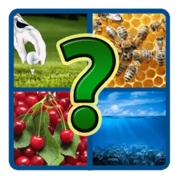 4 картинки 1 слово icon