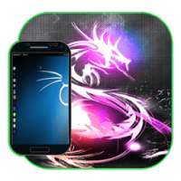 Kali - Install HowTo