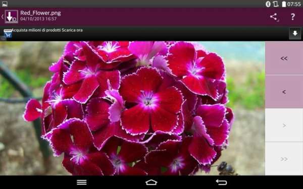 Images Downloader screenshot 7