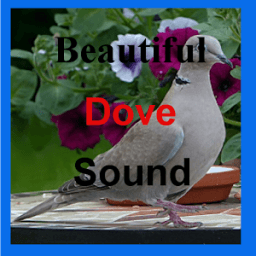 ikon Beautiful Dove Sounds