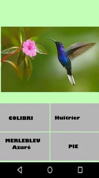 Birds and their Names Game-Quiz screenshot 1