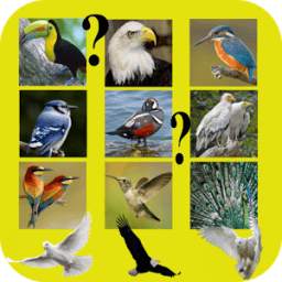 Birds and their Names Game-Quiz 1.3