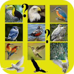 ikon Birds and their Names Game-Quiz