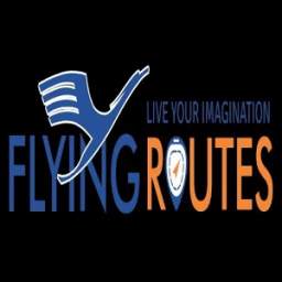 Flyingroutes