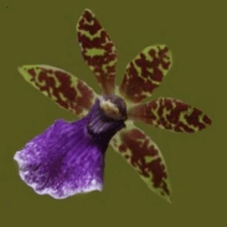 Happy Orchid App иконка