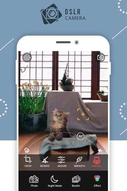 DSLR Camera Effect screenshot 2