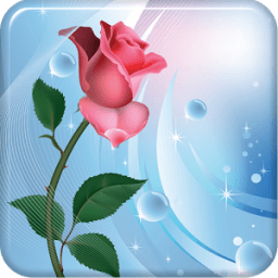 ikon Rose Live Wallpaper