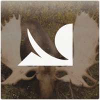 Big Game Hunting by HowtoHunt