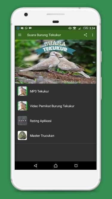 Suara Burung Tekukur скриншот 5