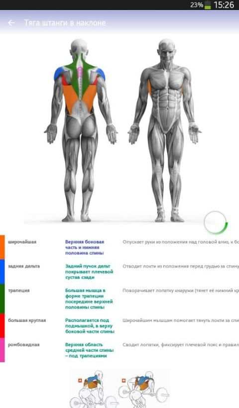 Бодибилдинг screenshot 6