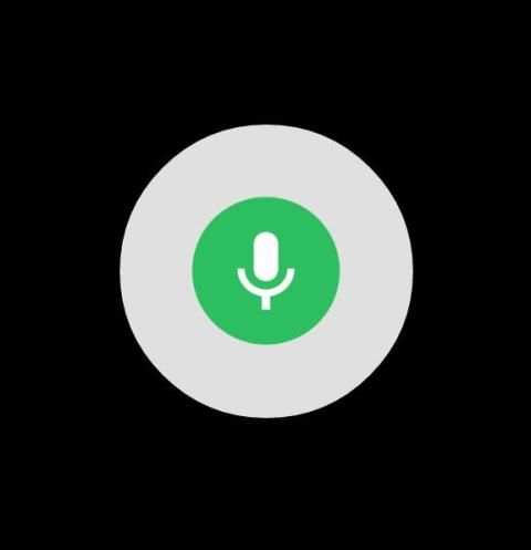 SoundSnip: Audio Time Machine screenshot 1