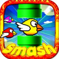 Smash Birds 2: Free Cool Game