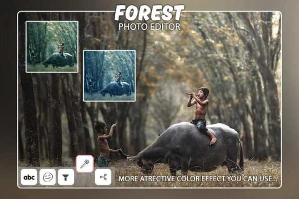 Forest Photo Editor 2 تصوير الشاشة