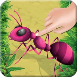 Insect Smasher - Smash Ant Cockroach Bug for Kids