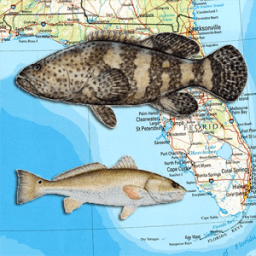 Florida Reef Fishing Scuba Map иконка