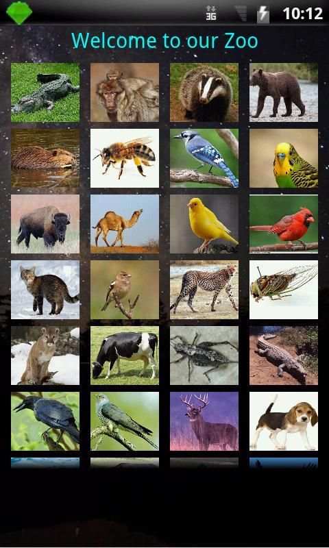 WORLD OF ANIMALS screenshot 7