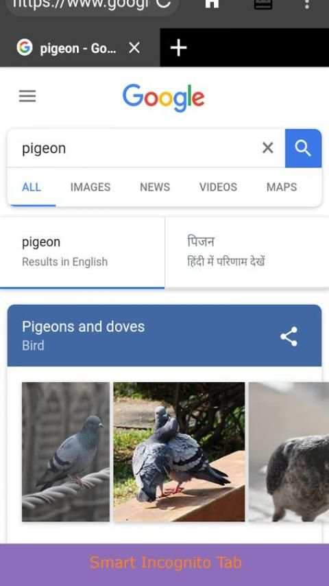 Pidgeot Web Browser - Featured and Fast скриншот 6