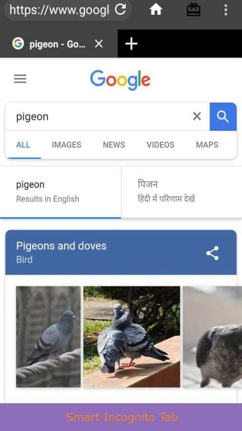 Pidgeot Web Browser - Featured and Fast скриншот 2
