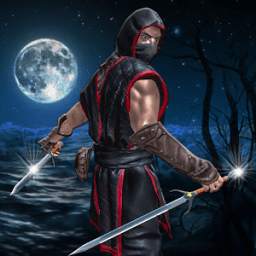 Ninja Assassin Combat Warrior: War Hero Survival