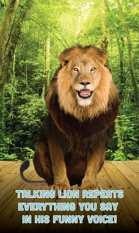 Talking Lion скриншот 7