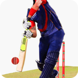 Cricket Photo Booth أيقونة