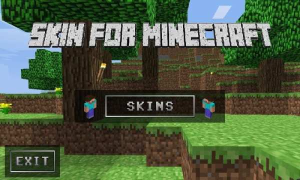 Skin for Minecraft screenshot 4
