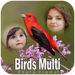 Birds Photo Frames أيقونة