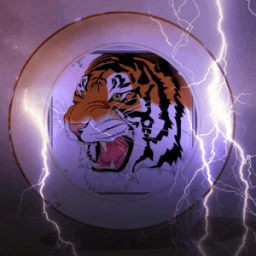 Tiger Browser 4G иконка