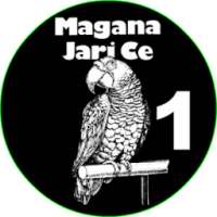 Magana Jari Ce 1 (Littafi Na Farko)