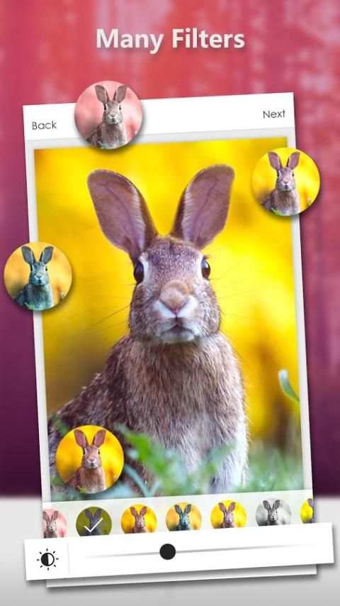 DSLR Camera Photo Effects Magic screenshot 3