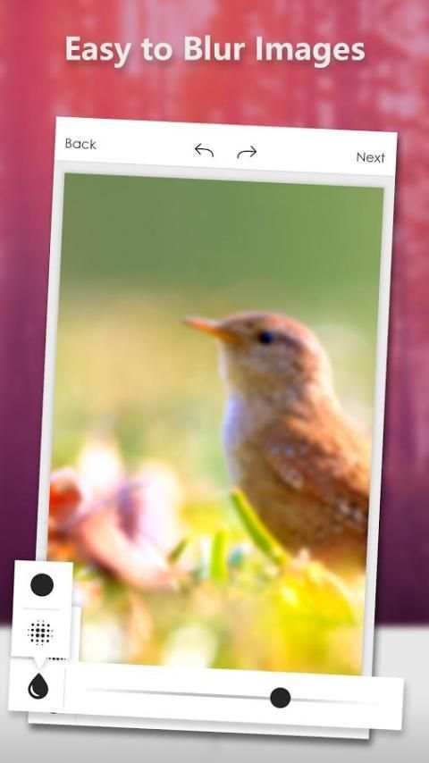 DSLR Camera Photo Effects Magic screenshot 7