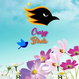 Crazy Birds आइकन