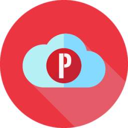 Flash Pinterest Downloader 1.0