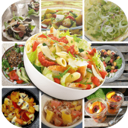 salad recipes 2016 иконка