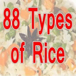 Rice Recipe 88 icon