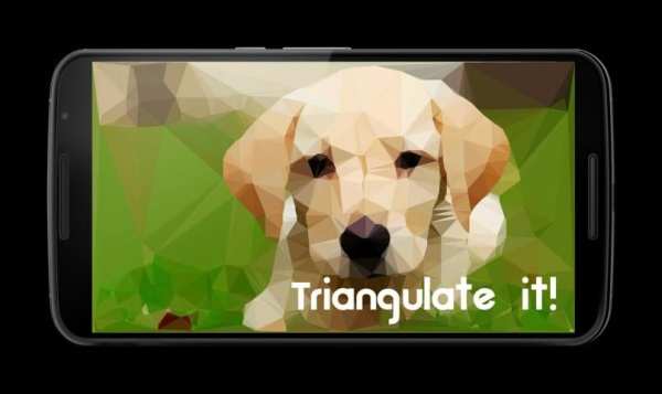 Triangulate it! скриншот 5