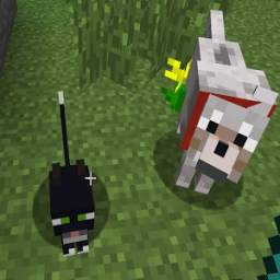 Pets Ideas Minecraft 7.1