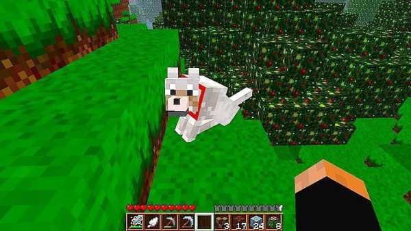 Pets Ideas Minecraft screenshot 4