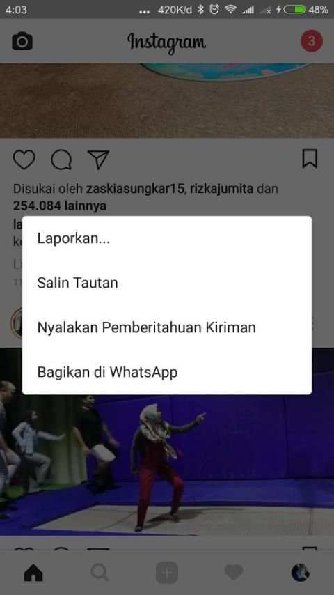 Grab Instagram Video and Foto screenshot 2