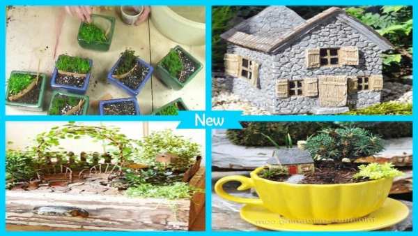 Cottage Mini Garden Ideas स्क्रीनशॉट 5