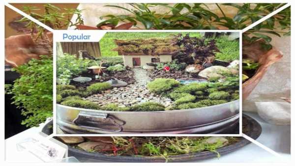 Cottage Mini Garden Ideas स्क्रीनशॉट 2