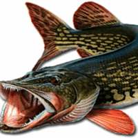 Симулятор щуки