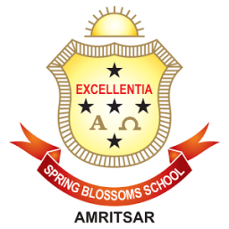 Spring Blossoms School иконка